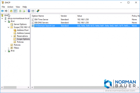 Windows Dhcp Server Dhcp Option 119 Configured