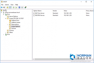 Windows Dhcp Server No Dhcp Option 119 Configured